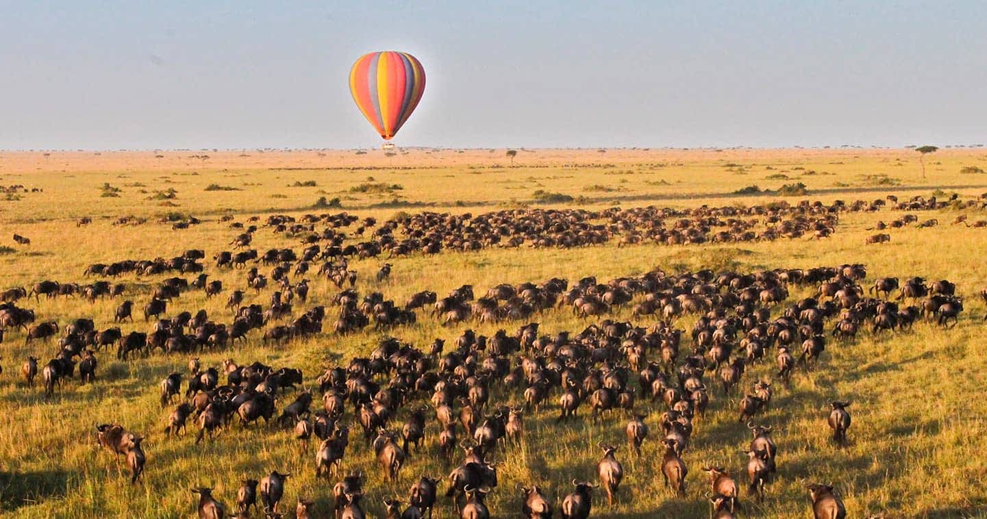 The Great Migration