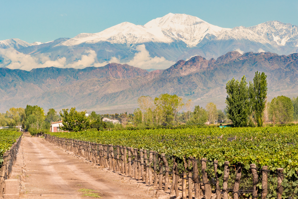 Plan a Trip to Argentina